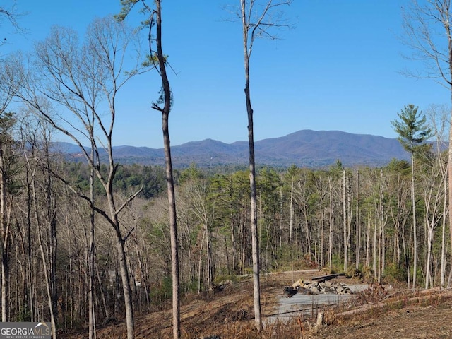 property view of mountains with a forest view