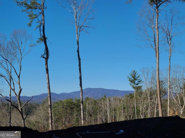 view of mountain feature with a forest view