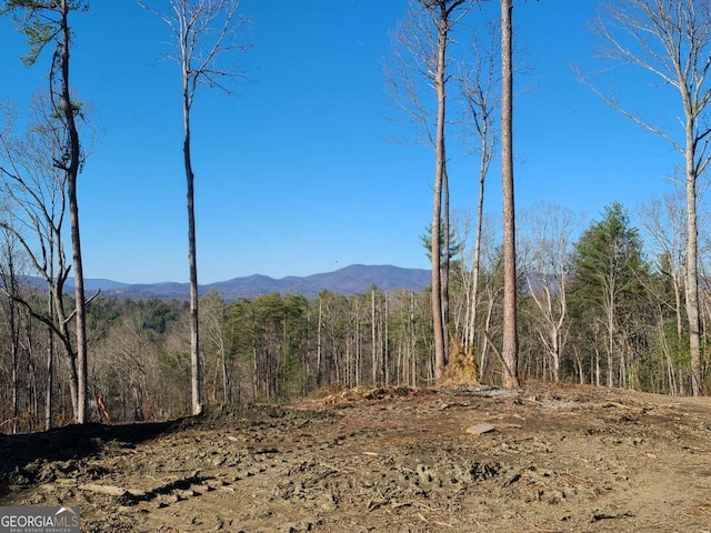 view of mountain feature with a wooded view