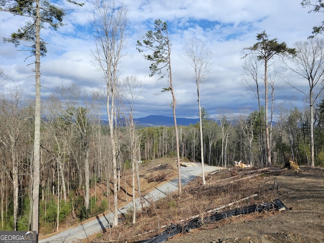 property view of mountains with a forest view