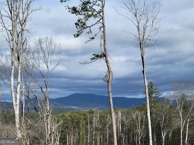 mountain view with a wooded view