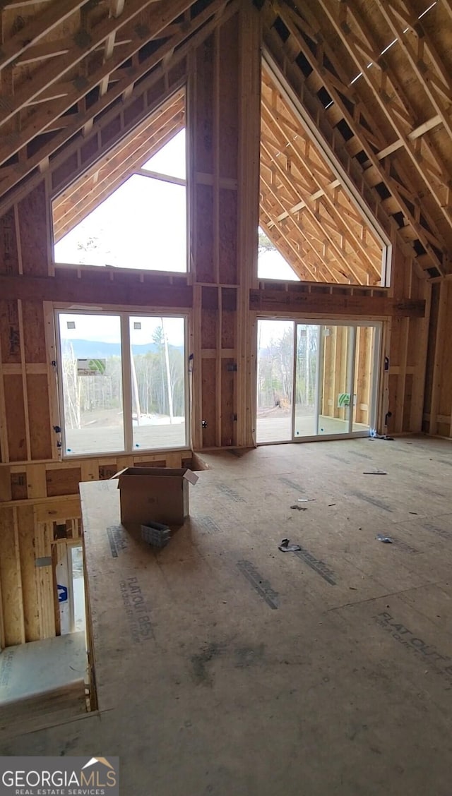 attic with plenty of natural light