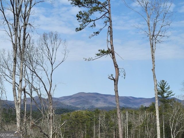 property view of mountains with a wooded view