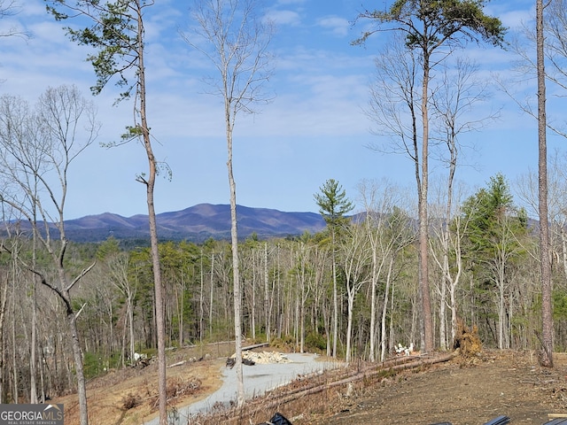 view of mountain feature featuring a wooded view