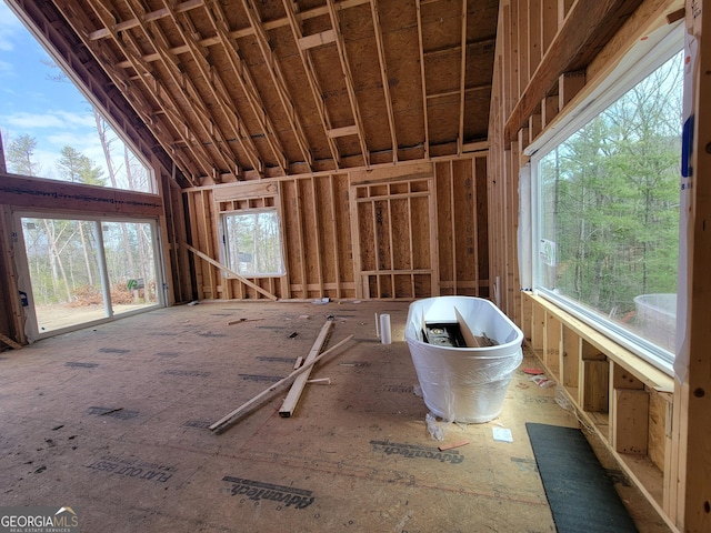 misc room with lofted ceiling