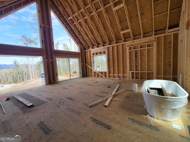 miscellaneous room featuring high vaulted ceiling