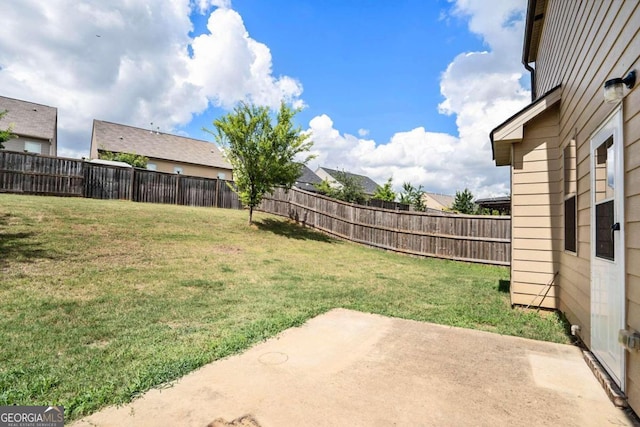 view of yard featuring a patio