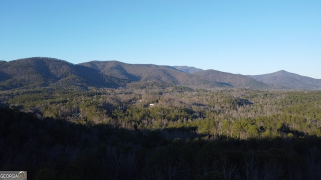 view of mountain feature