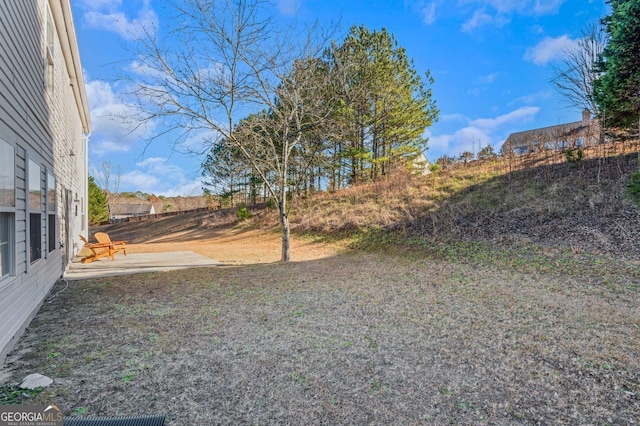 view of yard featuring a patio area