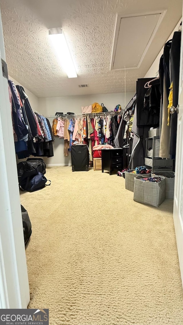 walk in closet with carpet