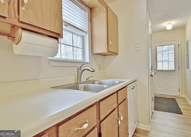 kitchen with white dishwasher, a healthy amount of sunlight, sink, and a textured ceiling