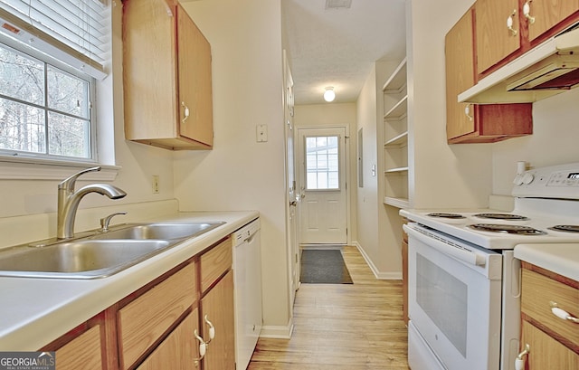 kitchen with plenty of natural light, light wood-type flooring, white appliances, and sink