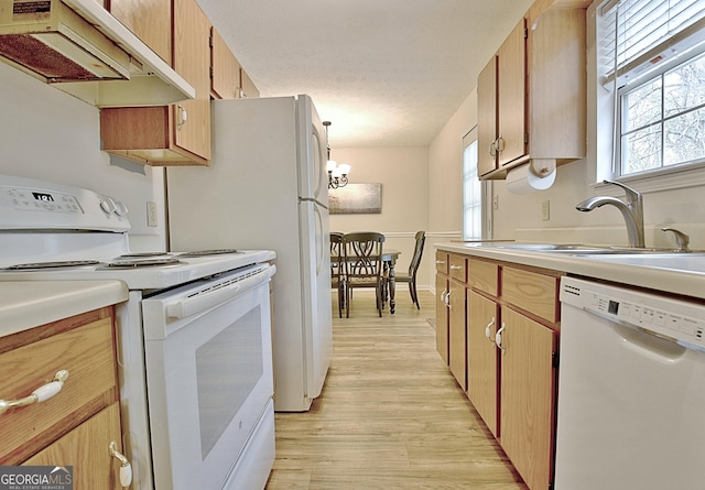 kitchen featuring light wood-type flooring, white appliances, extractor fan, sink, and pendant lighting