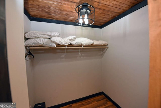 spacious closet featuring dark wood-type flooring