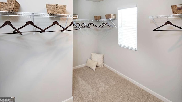 spacious closet with carpet flooring