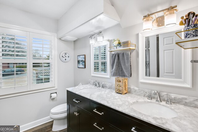 bathroom with a wealth of natural light, vanity, wood-type flooring, and toilet