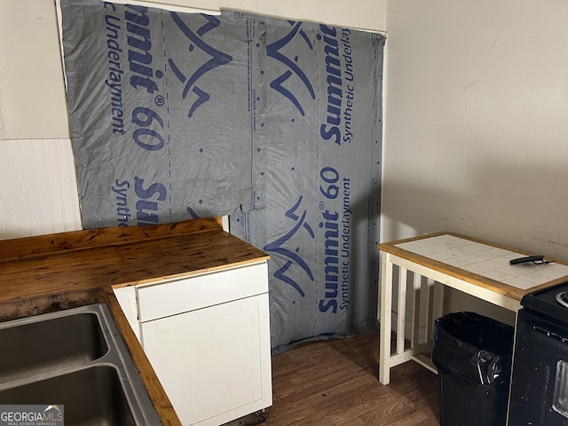 interior space featuring dark wood-type flooring and sink