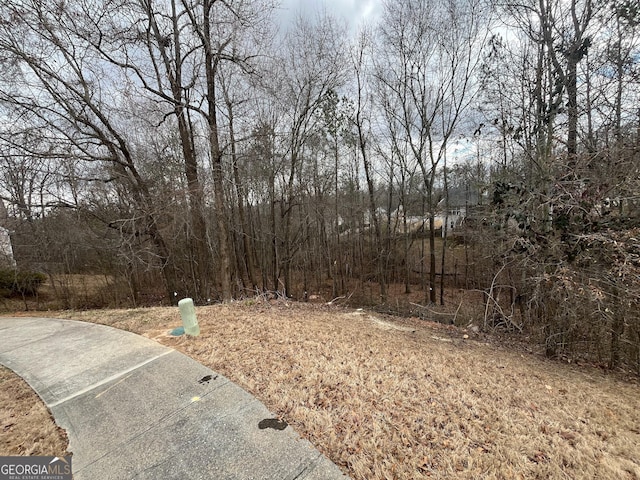 2412 Snowshoe Bnd, Bethlehem GA, 30620 land for sale