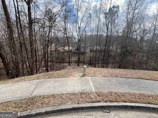 Listing photo 2 for 2412 Snowshoe Bnd, Bethlehem GA 30620