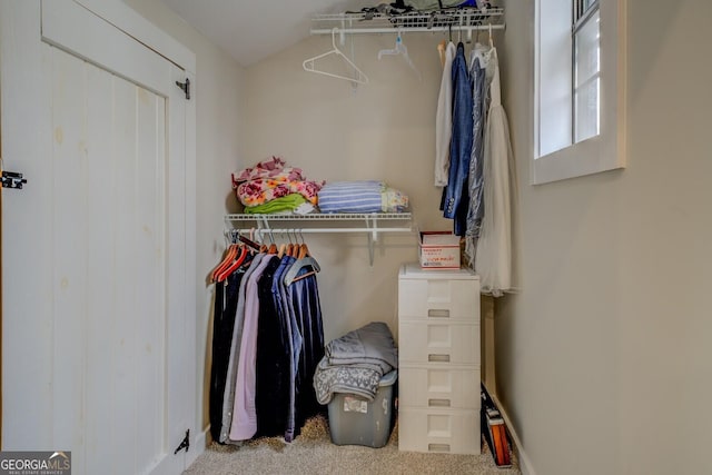 spacious closet with carpet