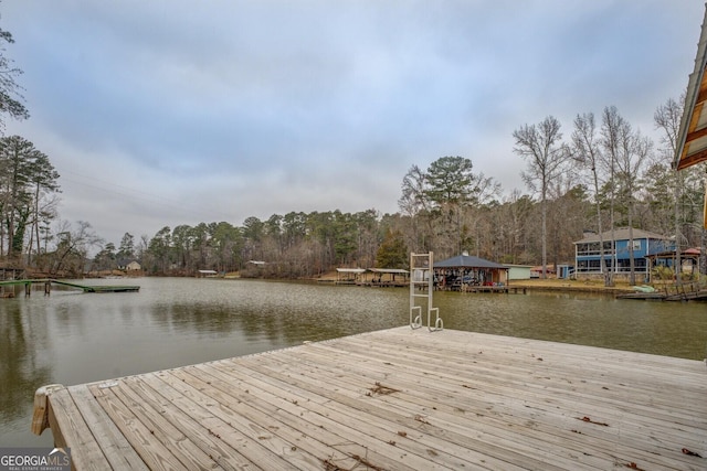 dock area with a water view