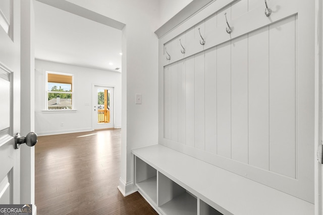 mudroom with dark wood-type flooring