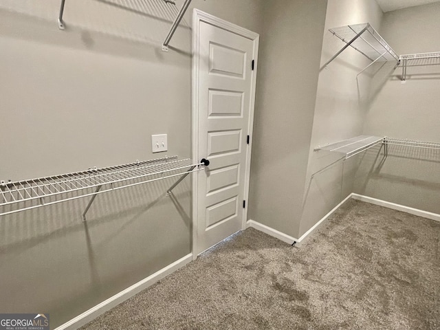 walk in closet featuring carpet flooring