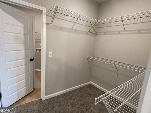 spacious closet with carpet flooring