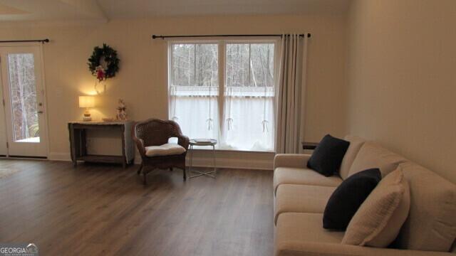 sitting room featuring dark wood-type flooring