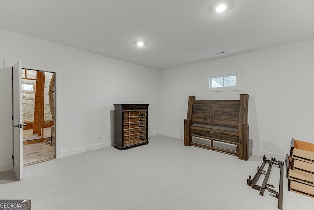 sitting room featuring carpet floors