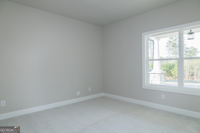 spare room with carpet flooring and a wealth of natural light