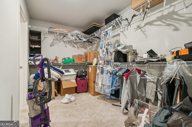 spacious closet featuring carpet