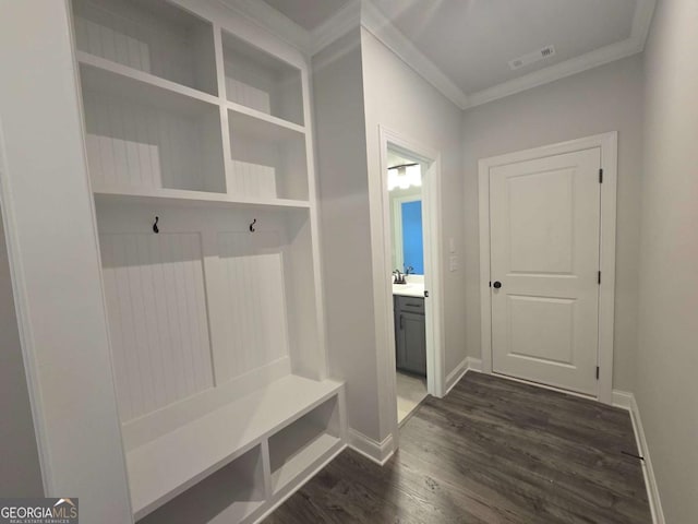 mudroom with sink, dark hardwood / wood-style floors, and ornamental molding