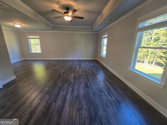 spare room with a raised ceiling, ceiling fan, dark hardwood / wood-style flooring, and ornamental molding