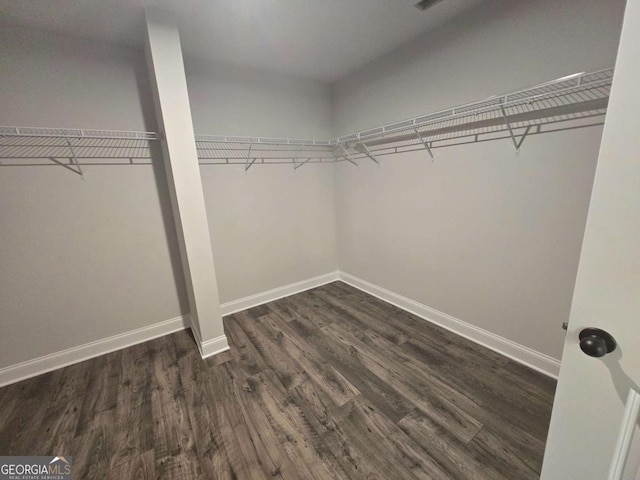 walk in closet featuring dark wood-type flooring