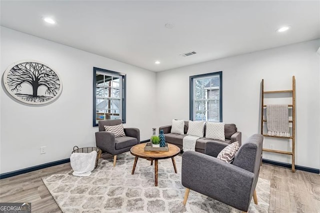 living room featuring plenty of natural light and light wood-type flooring