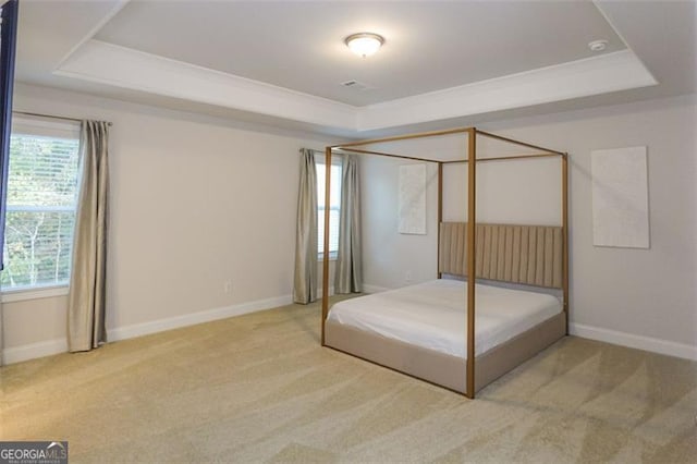 unfurnished bedroom with carpet floors and a raised ceiling