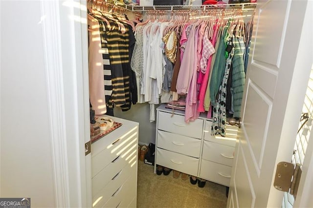 spacious closet featuring light carpet