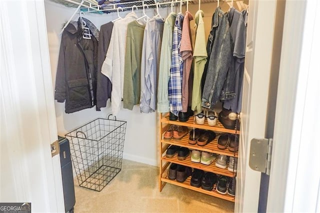 spacious closet featuring carpet