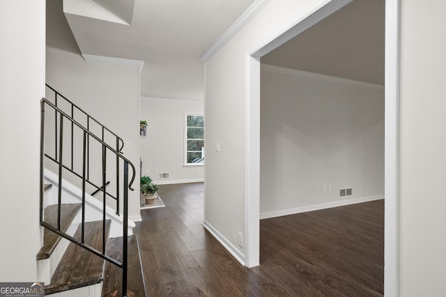 foyer featuring dark hardwood / wood-style flooring and crown molding