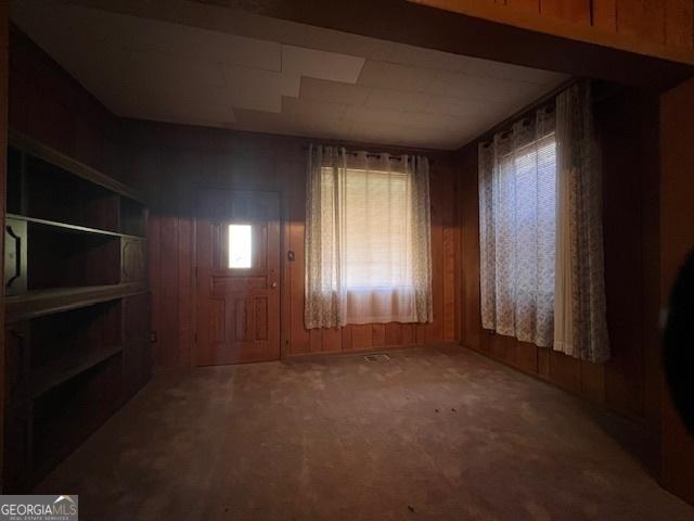 empty room with wood walls, carpet flooring, and a healthy amount of sunlight