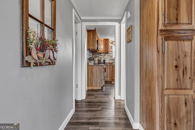 hallway featuring dark hardwood / wood-style floors