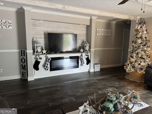 living room with ceiling fan, dark hardwood / wood-style floors, crown molding, and a textured ceiling