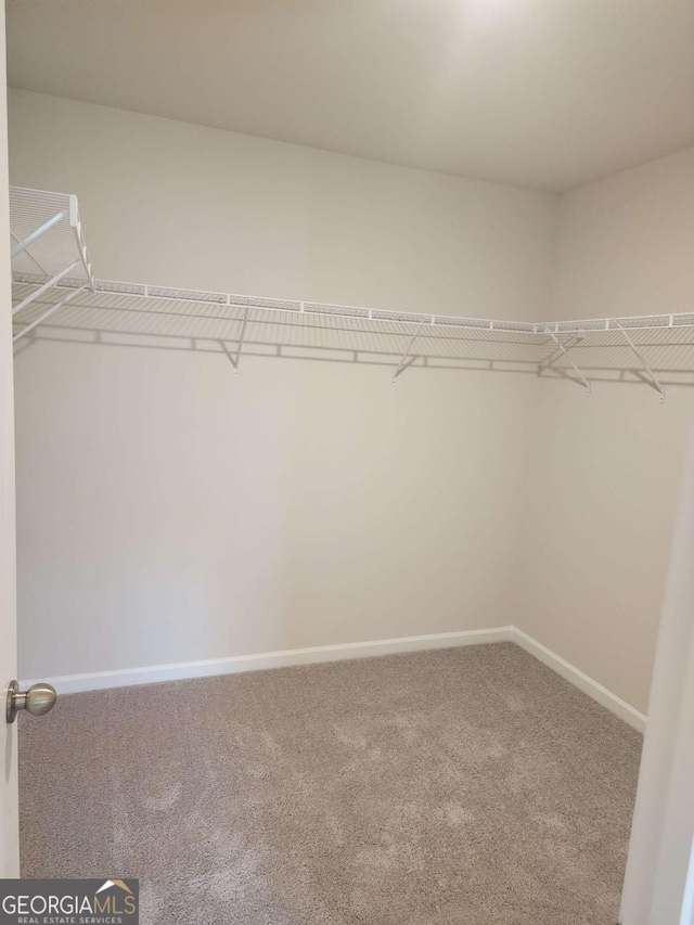 spacious closet with carpet flooring