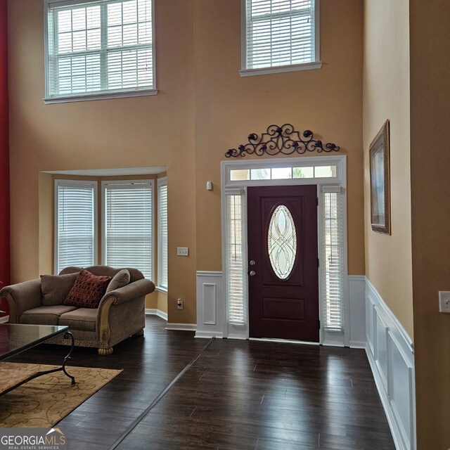 foyer with a towering ceiling and dark wood-type flooring