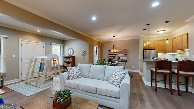 living room with dark hardwood / wood-style floors and ornamental molding