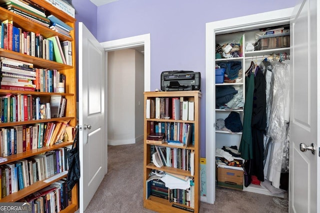 interior space with light colored carpet