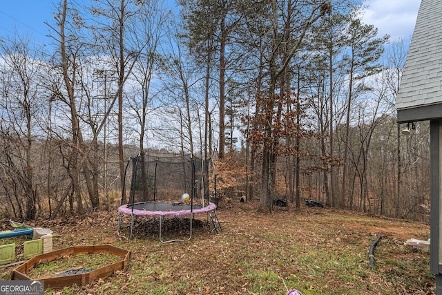 view of yard featuring a trampoline