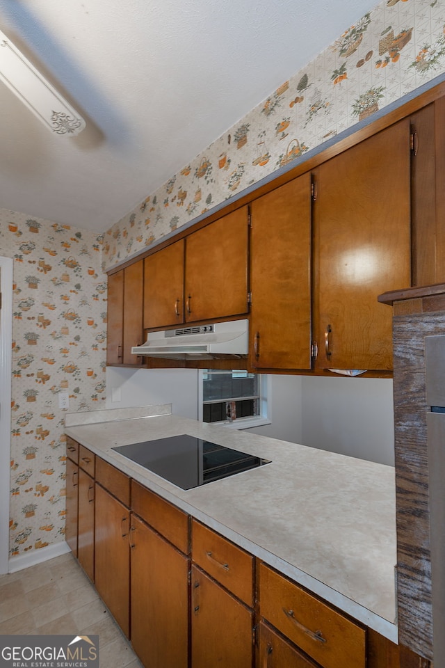 kitchen featuring black electric stovetop