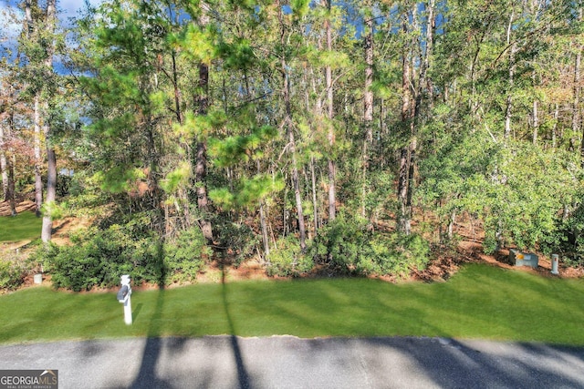 Listing photo 2 for 0 Riverpoint Ln, Townsend GA 31331